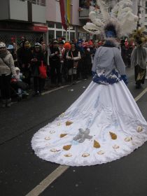 Rosenmontag 11.2.2013 (14).jpg